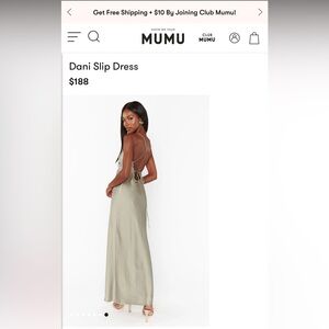 Show Me Your MuMu Sage Backless Dress